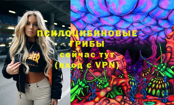 прущий лед Аркадак