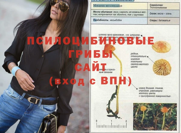 прущий лед Аркадак
