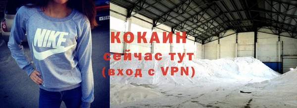соль ск Алексин